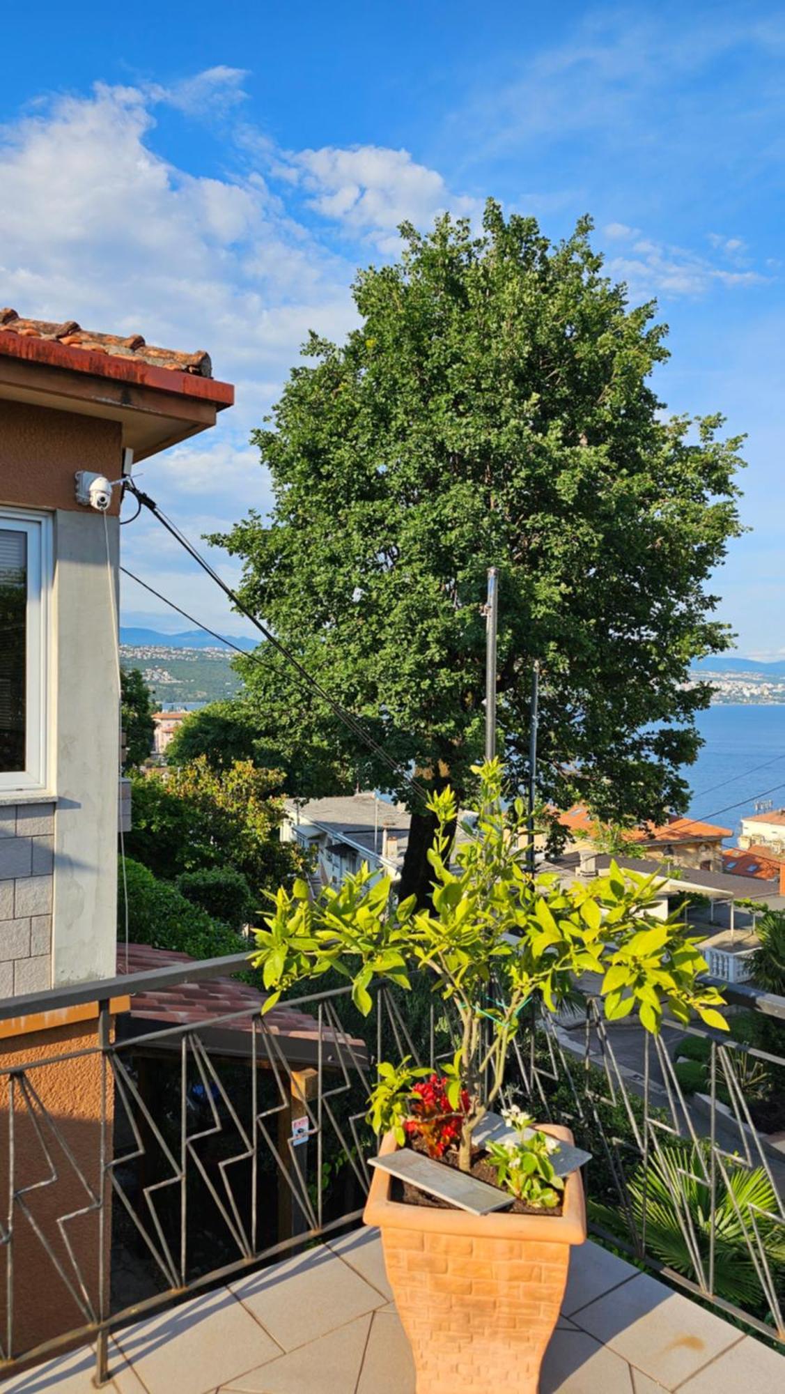 Apartament Elvira Opatija Zewnętrze zdjęcie