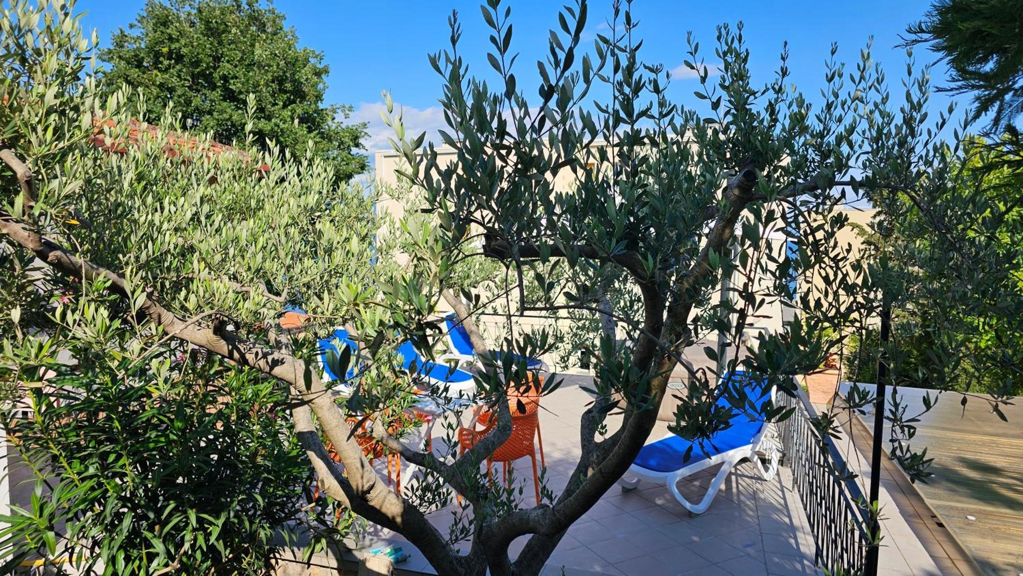 Apartament Elvira Opatija Zewnętrze zdjęcie